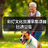 彩灯文化资源采集项目比选公告（图2）