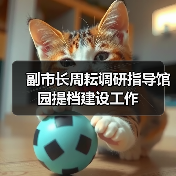 副市长周耘调研指导馆园提档建设工作（图3）