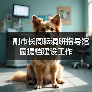 副市长周耘调研指导馆园提档建设工作（图1）