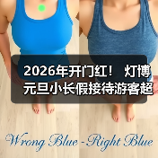 2026年开门红！ 灯博元旦小长假接待游客超2万人次！（图1）