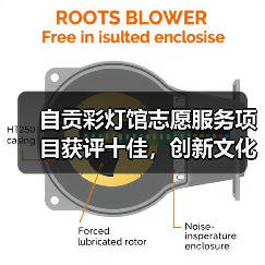 自贡彩灯馆志愿服务项目获评十佳，创新文化传播模式引关注（图4）