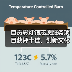 自贡彩灯馆志愿服务项目获评十佳，创新文化传播模式引关注（图3）