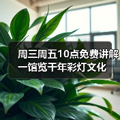周三周五10点免费讲解 一馆览千年彩灯文化（图2）