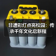 非遗彩灯点亮校园：传承千年文化启新程（图4）