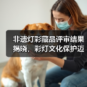 非遗灯彩藏品评审结果揭晓，彩灯文化保护迈出关键一步（图1）