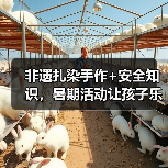 非遗扎染手作+安全知识，暑期活动让孩子乐在其中（图1）