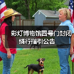 彩灯博物馆四号门封闭绕行指引公告（图1）