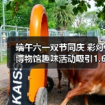 端午六一双节同庆 彩灯博物馆趣味活动吸引1.6万游客（图4）