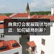 自贡灯会发展现状与挑战：如何破局创新？（图3）