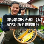 博物馆里过大年！彩灯展览活动全攻略来啦（图2）
