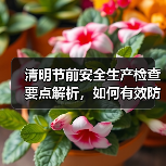 清明节前安全生产检查要点解析,如何有效防范风险?(图1) 清明节前安全生产检查要点解析,如何有效防范风险?(图1)