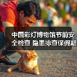 中国彩灯博物馆节前安全检查 隐患排查保假期安全（图1）