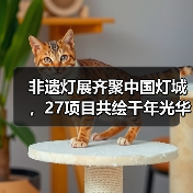 非遗灯展齐聚中国灯城,27项目共绘千年光华(图2) 非遗灯展齐聚中国灯城,27项目共绘千年光华(图2)