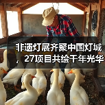 非遗灯展齐聚中国灯城,27项目共绘千年光华(图3) 非遗灯展齐聚中国灯城,27项目共绘千年光华(图3)