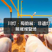 川灯・蜀韵展:非遗灯展璀璨登场(图2) 川灯・蜀韵展:非遗灯展璀璨登场(图2)