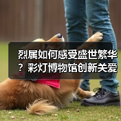 烈属如何感受盛世繁华?彩灯博物馆创新关爱活动(图2) 烈属如何感受盛世繁华?彩灯博物馆创新关爱活动(图2)
