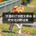 非遗彩灯惊艳文保会 展示文化创新成果(图2) 非遗彩灯惊艳文保会 展示文化创新成果(图2)