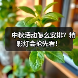 中秋活动怎么安排？精彩灯会抢先看！（图1）