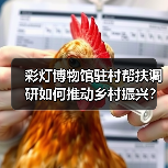 彩灯博物馆驻村帮扶调研如何推动乡村振兴?(图4) 彩灯博物馆驻村帮扶调研如何推动乡村振兴?(图4)