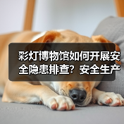 彩灯博物馆如何开展安全隐患排查?安全生产整治行动全解析(图4) 彩灯博物馆如何开展安全隐患排查?安全生产整治行动全解析(图4)