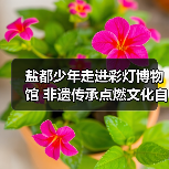 盐都少年走进彩灯博物馆 非遗传承点燃文化自信(图3) 盐都少年走进彩灯博物馆 非遗传承点燃文化自信(图3)