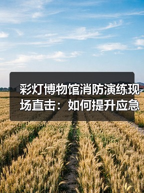 彩灯博物馆消防演练现场直击:如何提升应急安全意识?(图3) 彩灯博物馆消防演练现场直击:如何提升应急安全意识?(图3)