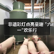 非遗彩灯点亮童趣 非遗彩灯点亮童趣