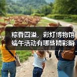 粽香四溢,彩灯博物馆端午活动有哪些精彩瞬间?(图1) 粽香四溢,彩灯博物馆端午活动有哪些精彩瞬间?(图1)