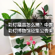 彩灯藏品怎么捐?中国彩灯博物馆征集公告来啦!(图1) 彩灯藏品怎么捐?中国彩灯博物馆征集公告来啦!(图1)