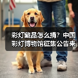 彩灯藏品怎么捐?中国彩灯博物馆征集公告来啦!(图2) 彩灯藏品怎么捐?中国彩灯博物馆征集公告来啦!(图2)
