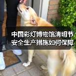 中国彩灯博物馆清明节安全生产措施如何保障游客安全（图2）