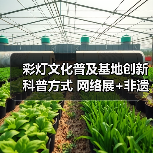 彩灯文化普及基地创新科普方式 网络展+非遗体验获先进集体荣誉(图3) 彩灯文化普及基地创新科普方式 网络展+非遗体验获先进集体荣誉(图3)