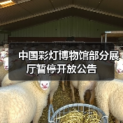 中国彩灯博物馆部分展厅暂停开放公告（图1）