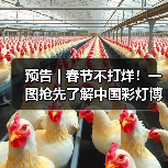 预告 | 春节不打烊！一图抢先了解中国彩灯博物馆龙年新春活动→（图1）