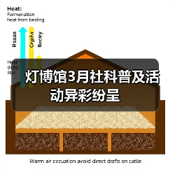 灯博馆3月社科普及活动异彩纷呈(图3) 灯博馆3月社科普及活动异彩纷呈(图3)