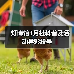 灯博馆3月社科普及活动异彩纷呈(图4) 灯博馆3月社科普及活动异彩纷呈(图4)