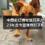 中国彩灯博物馆召开2023年度市管领导班子和领导干部年度考核测评会(图4) 中国彩灯博物馆召开2023年度市管领导班子和领导干部年度考核测评会(图4)