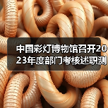 中国彩灯博物馆召开2023年度部门考核述职测评会议(图4) 中国彩灯博物馆召开2023年度部门考核述职测评会议(图4)