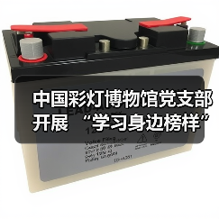 中国彩灯博物馆党支部开展 “学习身边榜样”报告宣讲 暨“我为群众办实事”志愿服务活动(图2) 中国彩灯博物馆党支部开展 “学习身边榜样”报告宣讲 暨“我为群众办实事”志愿服务活动(图2)