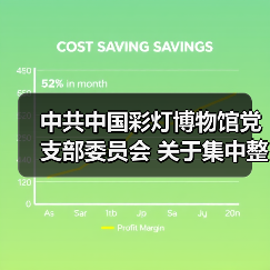 中共中国彩灯博物馆党支部委员会 关于集中整改进展情况的通报（图1）