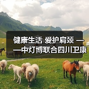 健康生活 爱护肩颈 ——中灯博联合四川卫康院康复学院举行肩颈腰义诊活动（图2）