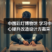 中国彩灯博物馆 学习中心提升改造设计方案采购公告（图3）