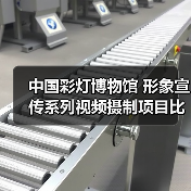 中国彩灯博物馆 形象宣传系列视频摄制项目比选公告（图2）