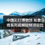 中国彩灯博物馆 形象宣传系列视频摄制项目比选公告（图3）