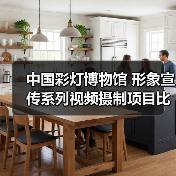 中国彩灯博物馆 形象宣传系列视频摄制项目比选公告（图4）