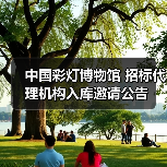 中国彩灯博物馆 招标代理机构入库邀请公告（图3）
