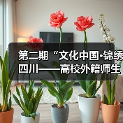 第二期“文化中国·锦绣四川——高校外籍师生巴蜀文化品悟之旅”走进中国彩灯博物馆(图2) 第二期“文化中国·锦绣四川——高校外籍师生巴蜀文化品悟之旅”走进中国彩灯博物馆(图2)