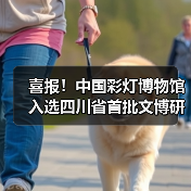 喜报!中国彩灯博物馆入选四川省首批文博研学基地(图4) 喜报!中国彩灯博物馆入选四川省首批文博研学基地(图4)