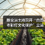 陈金洪主持召开“自贡市彩灯文化保护”立法起草小组会议（图1）