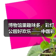博物馆里趣味多,彩灯公园好欢乐——中国彩灯博物馆2023年“五一”假期文旅市场情况综述(图1) 博物馆里趣味多,彩灯公园好欢乐——中国彩灯博物馆2023年“五一”假期文旅市场情况综述(图1)